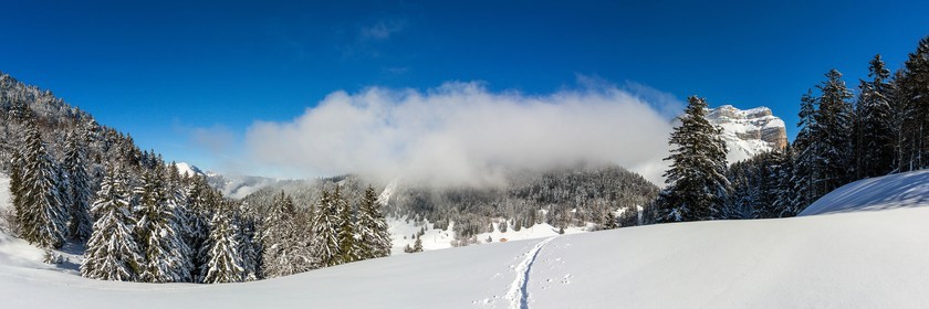 Espace naturel sensible de l'Isère, Col du Coq