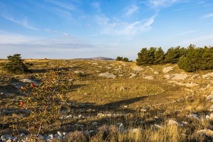 Caussols,  plateau de Calern, doline