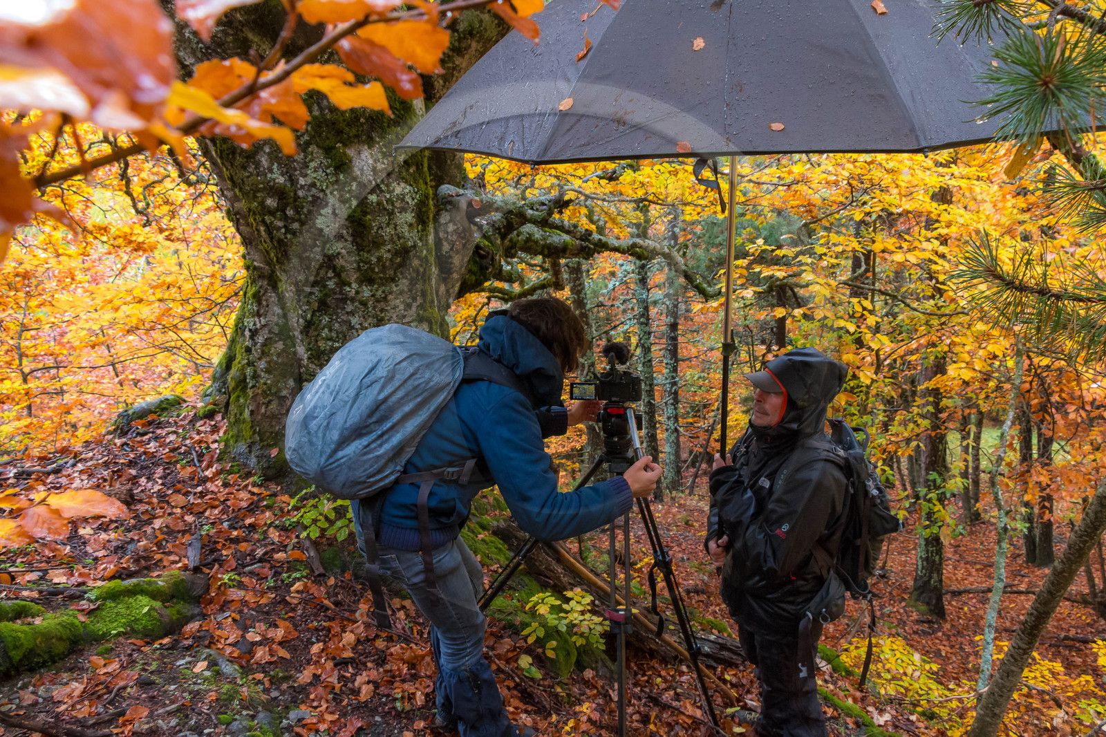 Making of du film La vallée des loups