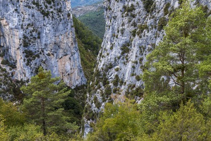 Sigale, clue du Riolan