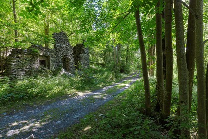 ENS de l'Isère, Vieille morte de Bourg d'Oisans