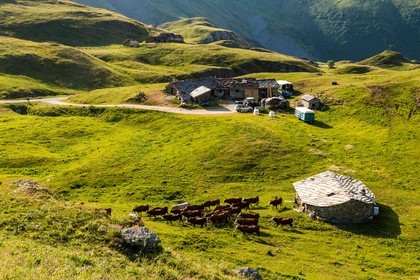 Termignon, alpage de Chavières