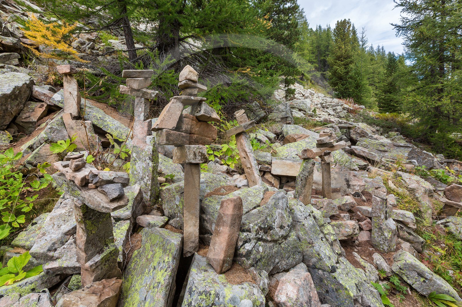 Ubaye, Vallon du Laverq