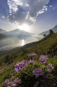 Lac du Mont-Cenis