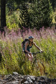 VTT Grand tour des Ecrins