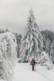 ENS de l'Isère, Les Ecouges