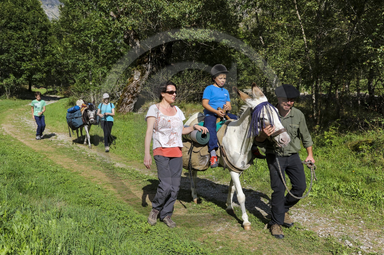 Yohann Masnada, accompagnateur ânier