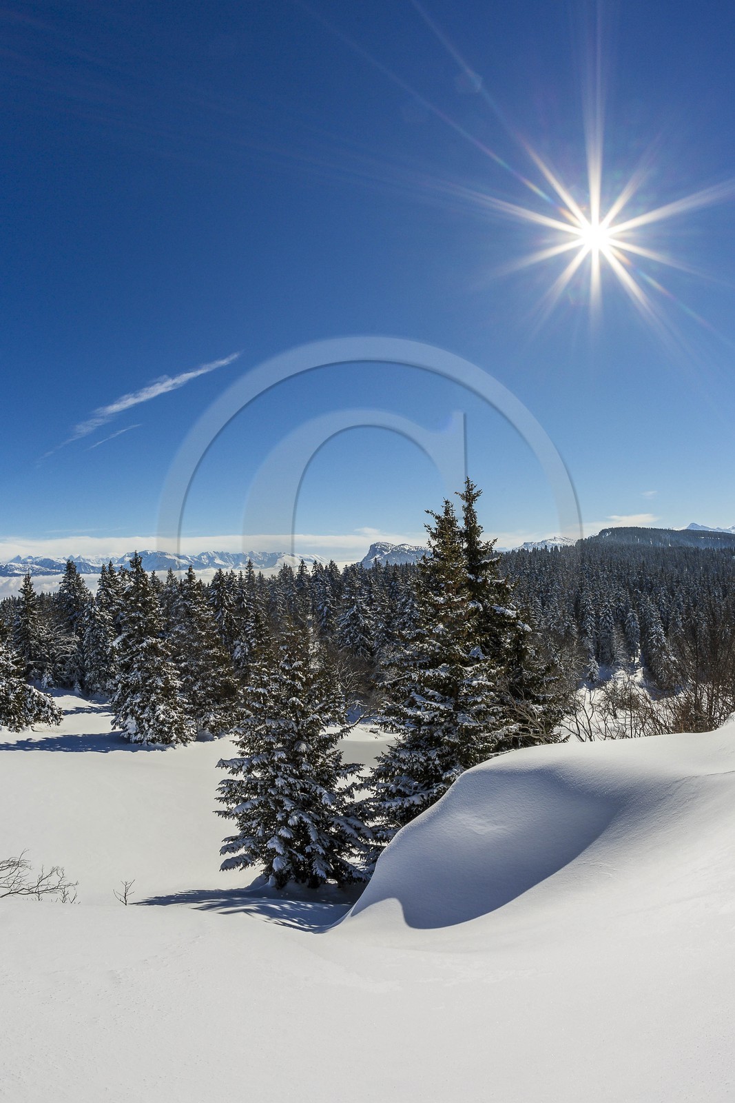 ENS de l'Isère, Plateau de la Molière et du Sornin