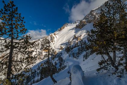 Col de l'Izoard