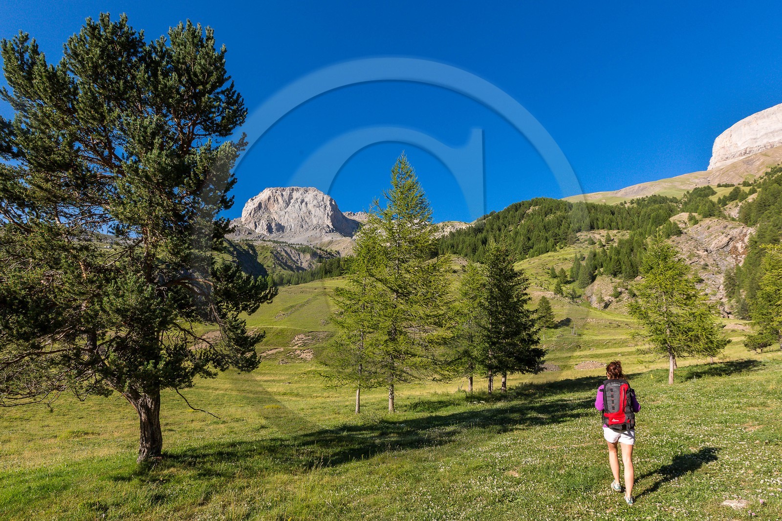 Ubaye, Vallon du Laverq