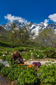 Jardin Botanique Alpin du Lautaret