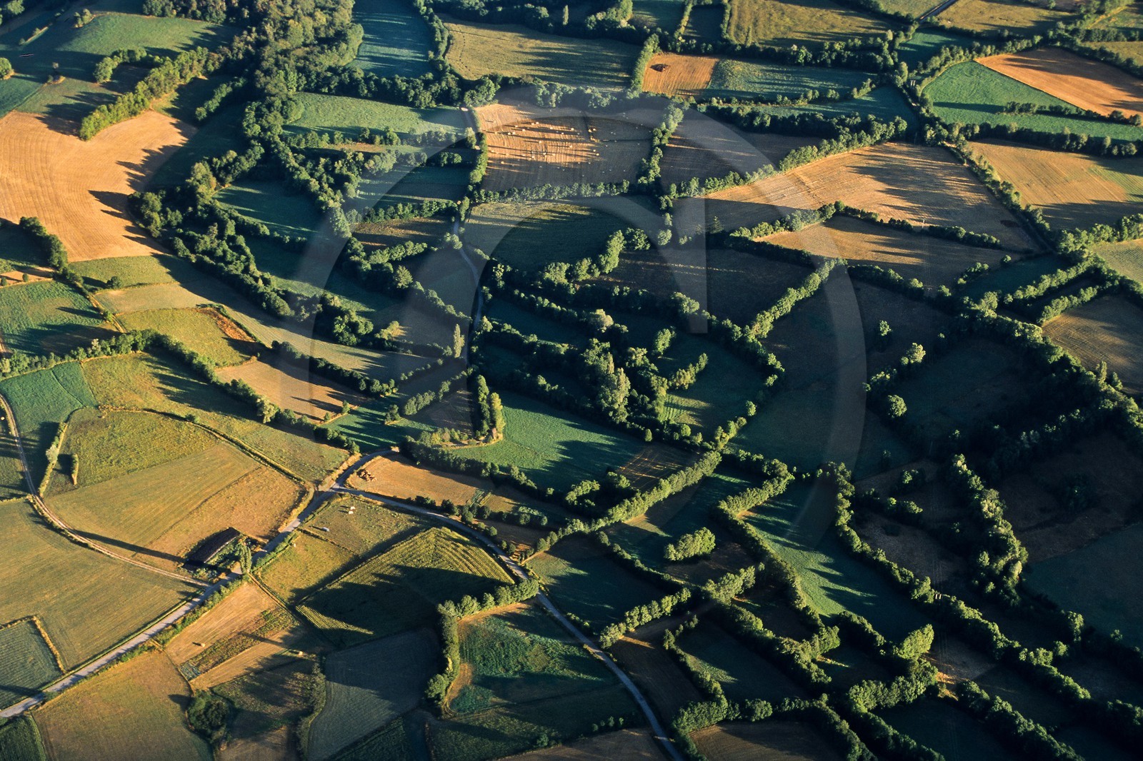 Vallée du Champsaur, le bocage