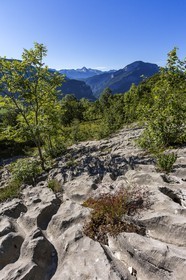 ENS de l'Isère, vallée fossile des Rimets