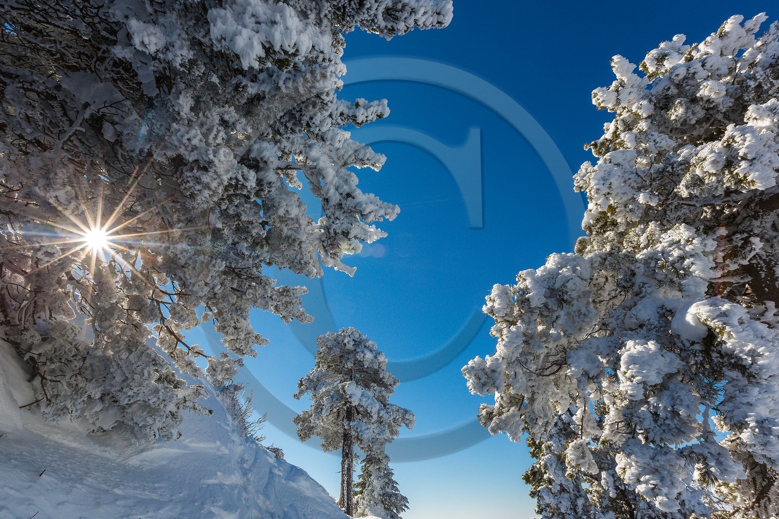 Espace naturel sensible de l'Isère, Col du Coq