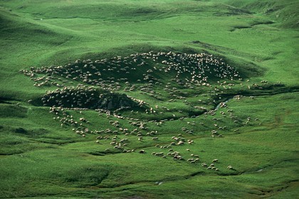 Alpage de Jujal, Le Bailou, berger