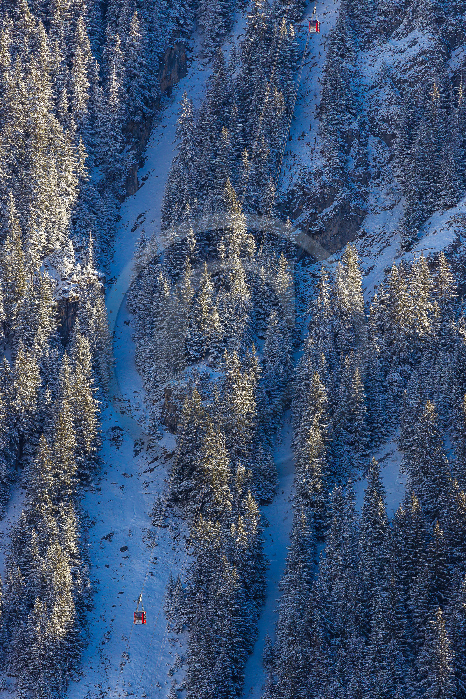 Pralognan-la-Vanoise, téléphérique du Mont Bochor
