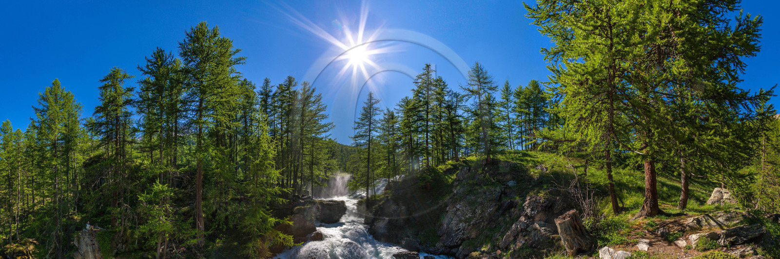 Mélezein à la Cascade de Fontcouverte