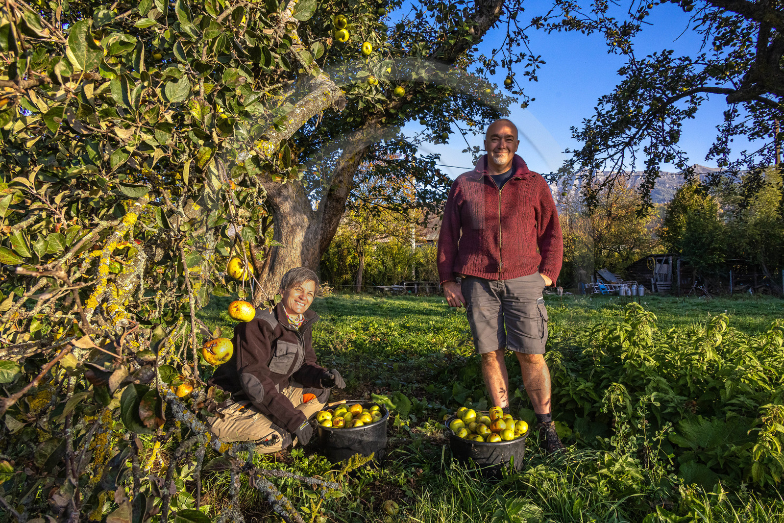 Etablissement Gayral, producteur de jus