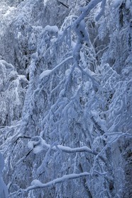 ENS de l'Isère, Les Ecouges