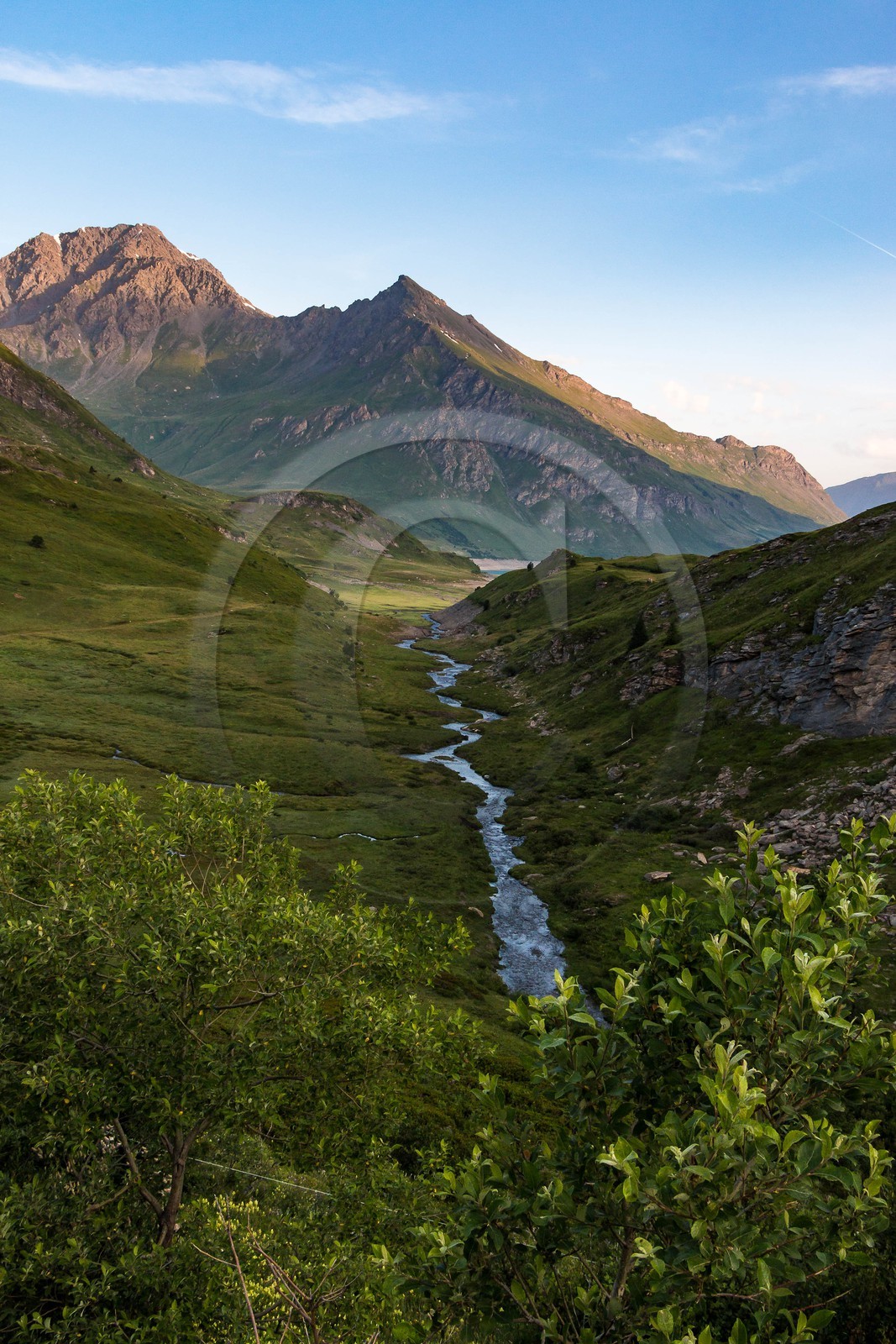 alpages du lac du Mont-Cenis