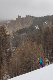 Parc naturel régional du Queyras