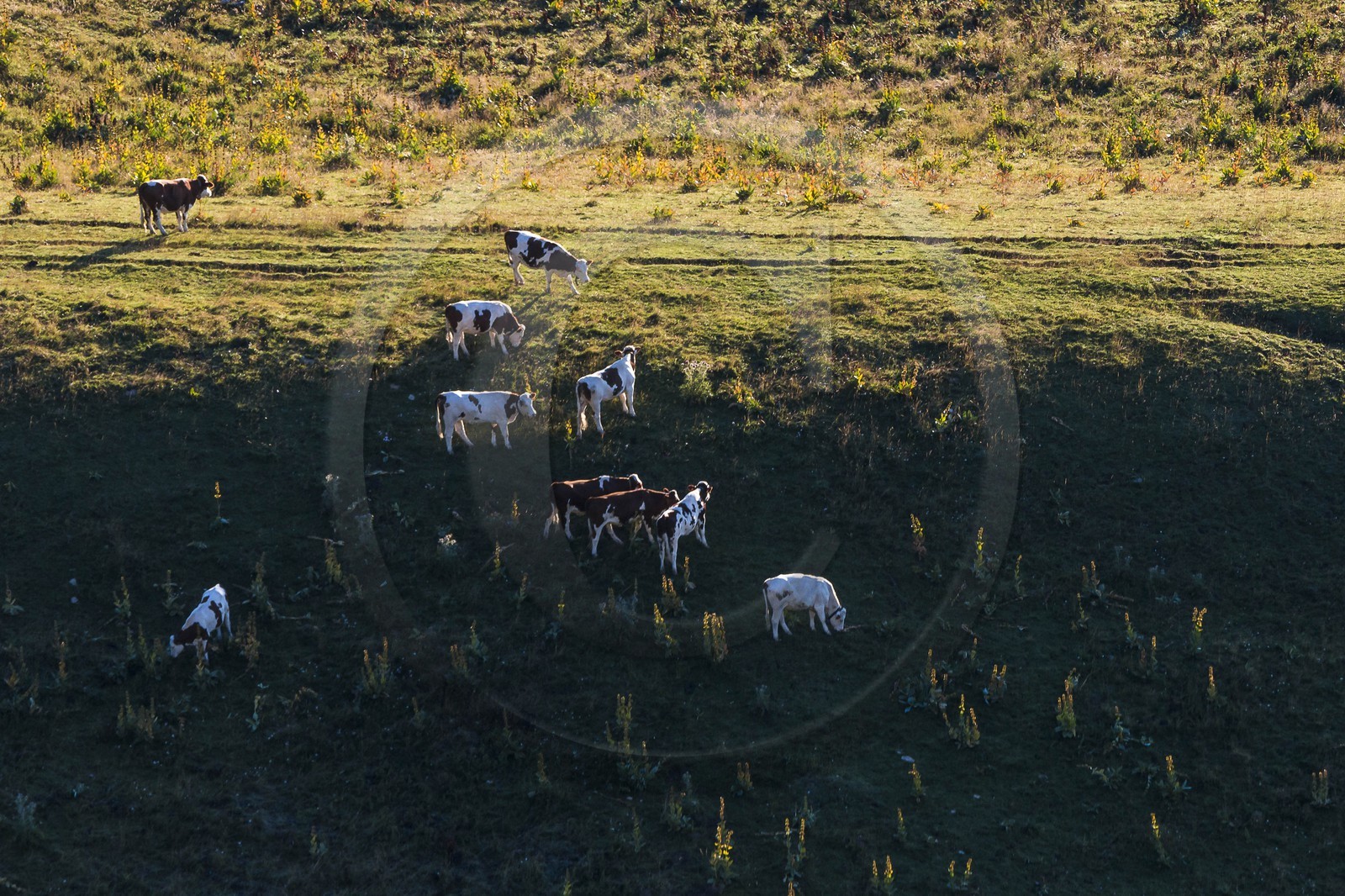 ENS de l'Isère, Plateau de la Molière et du Sornin