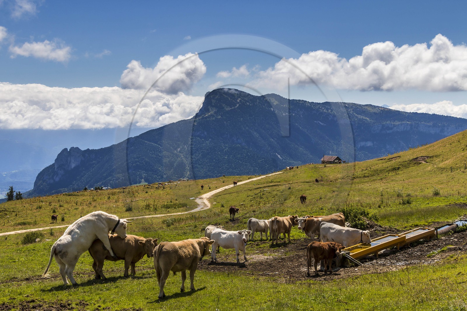 ENS de l'Isère, Plateau de la Molière et du Sornin