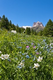 Vallée Etroite, (Valle Stretta en italien)