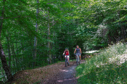 VTT à Ancelle
