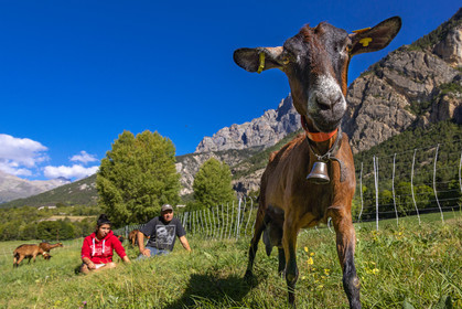 Gaec La Ferme des Ecrins