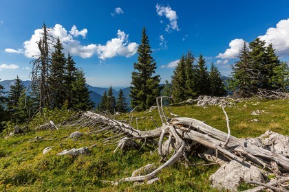Espace naturel sensible de l'Isère, Col du Coq