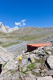 Sentiers Art et Nature Queyras et Val Varaita, Olivier de Sepibus