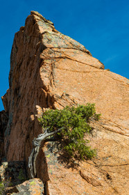 Calanche de Piana