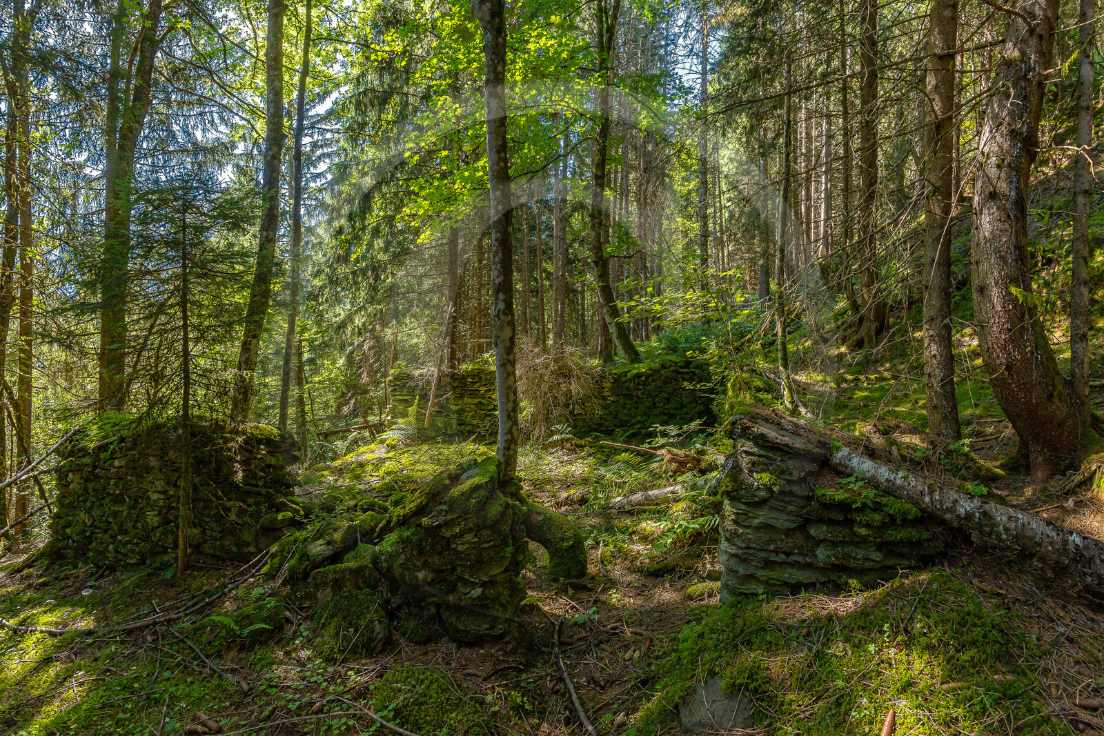 Val Montjoie, vestige d'ancien chalet d'alpage