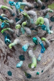 Sentiers Art et Nature Queyras et Val Varaita, Stéphanie Cailleau