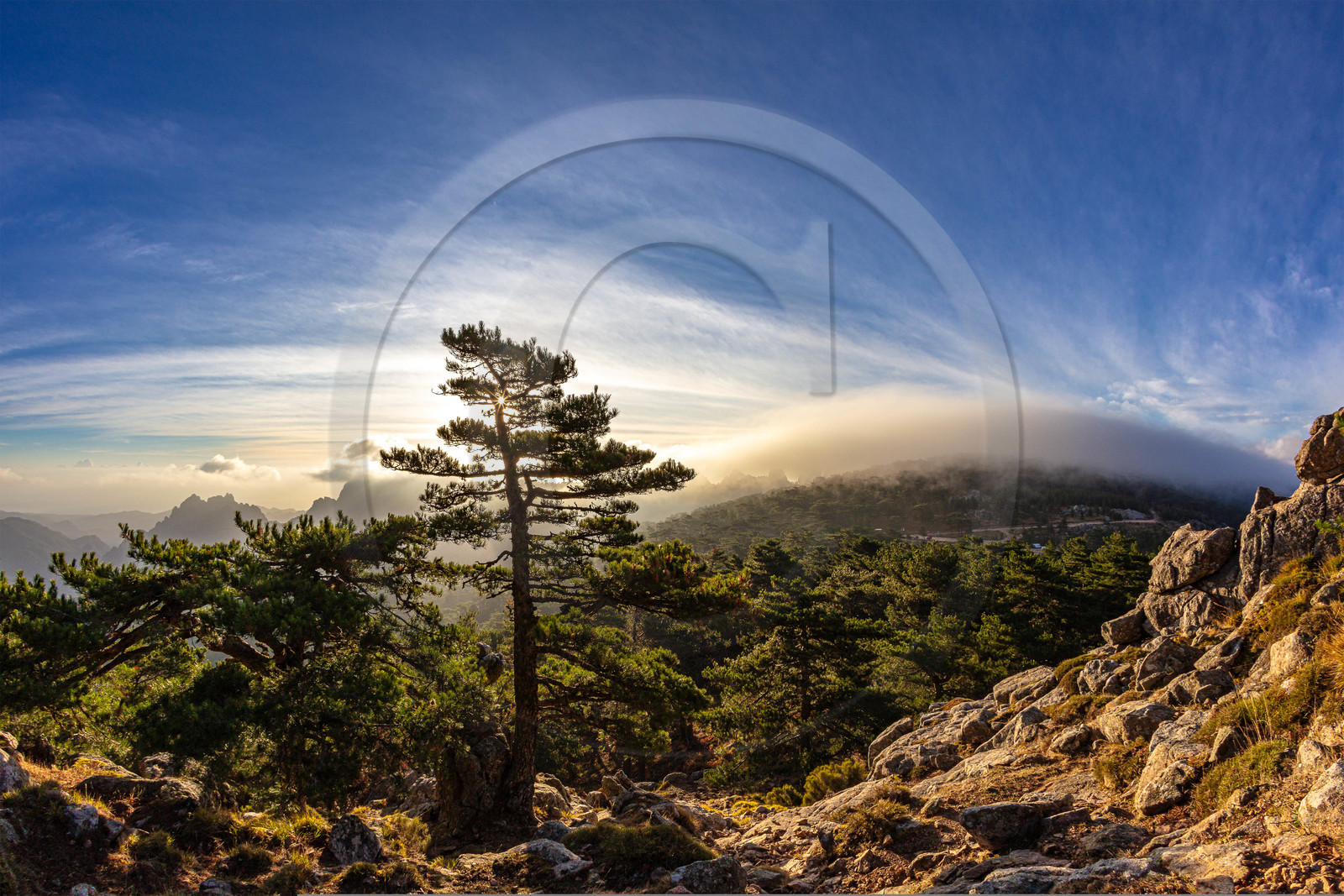 Les Aiguilles de Bavella (forchi di Bavedda )