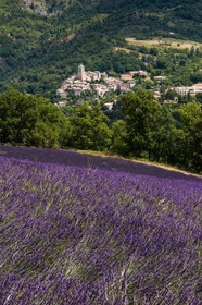 vallée des Duyes, Thoard