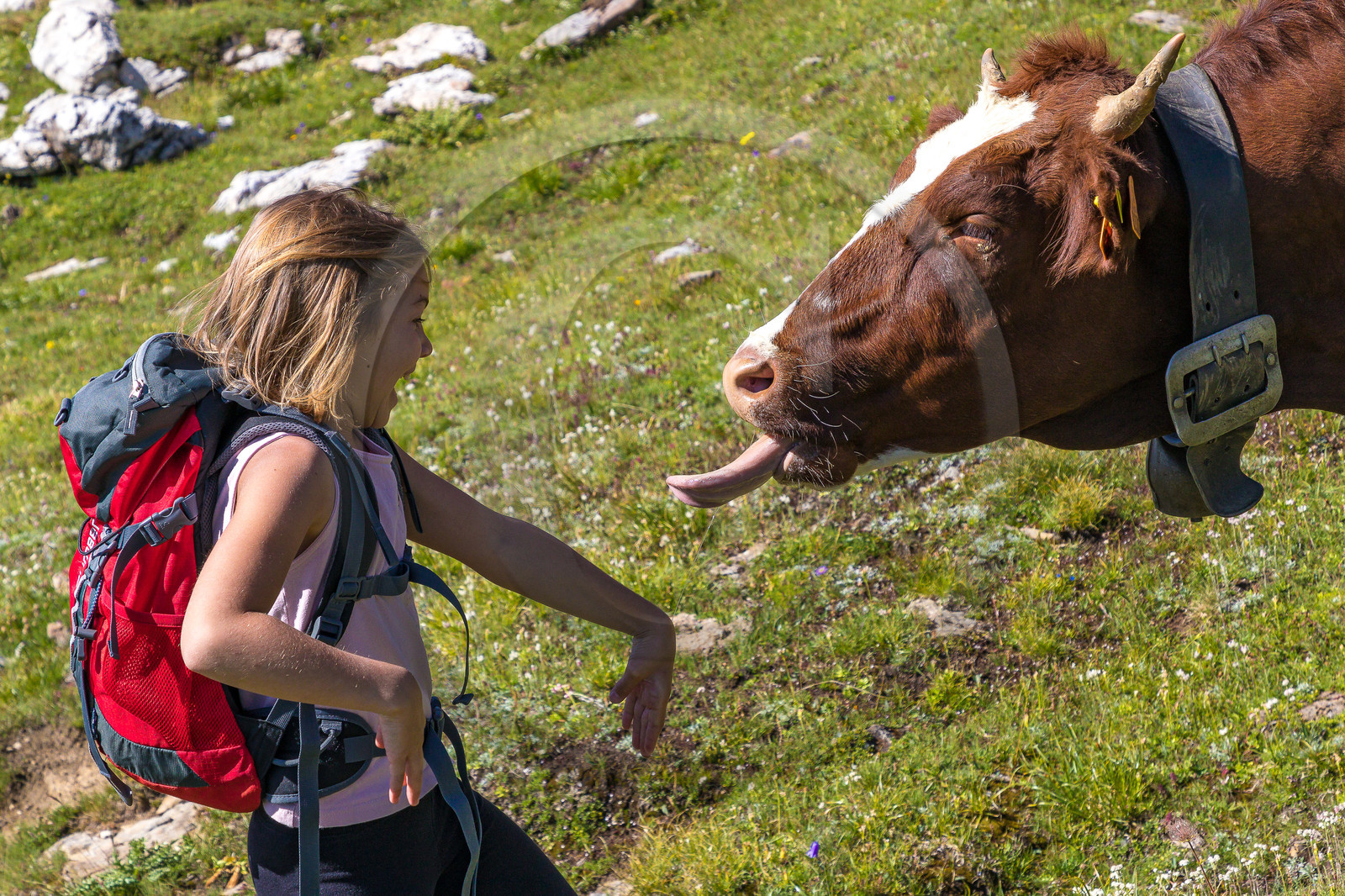 Plateau d'Emparis, randonnée pédestre
