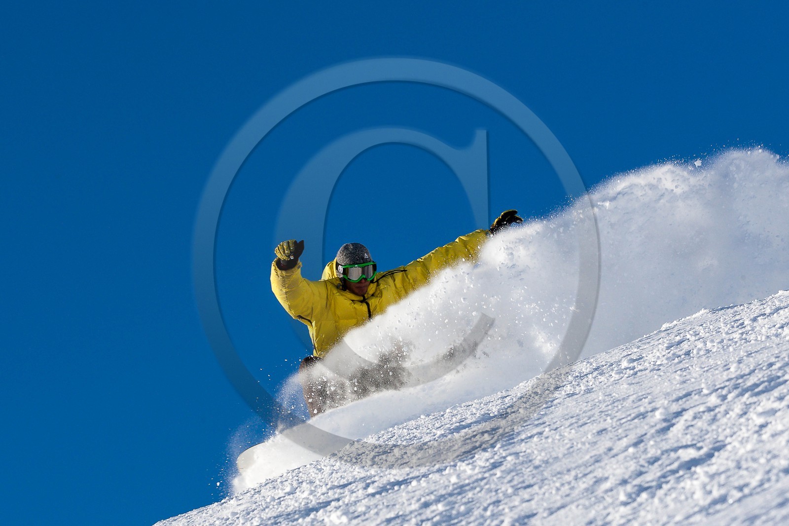 Surf des neige, Snowboard
