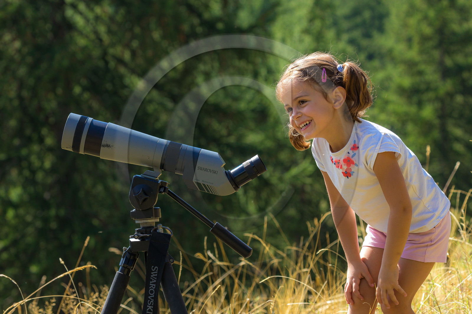 Bureau Montagne Visa Trekking