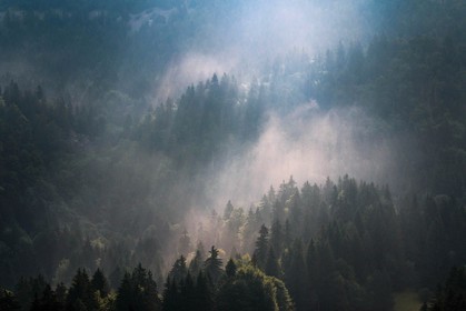 ENS de l'Isère, Les Ecouges