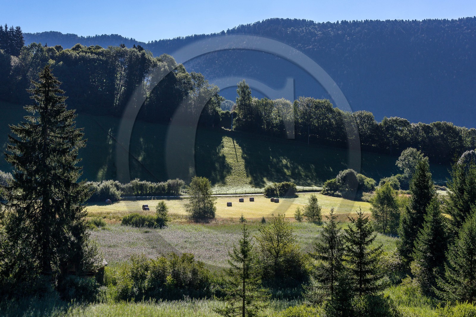 ENS de l'Isère, Marais des Sagnes