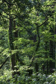 ENS de l'Isère, Boucle de la Taillat