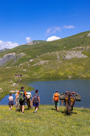 Trek famille avec animaux de bats
