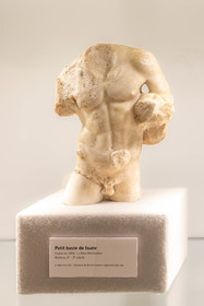 Musée Muséum départemental des Hautes-Alpes, Petit buste de faune