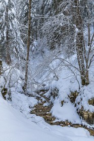 ENS de l'Isère, Les Ecouges
