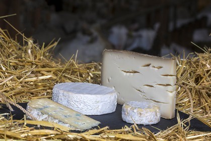 GAEC du Bois Noir, vente sur place de fromages de chèvre