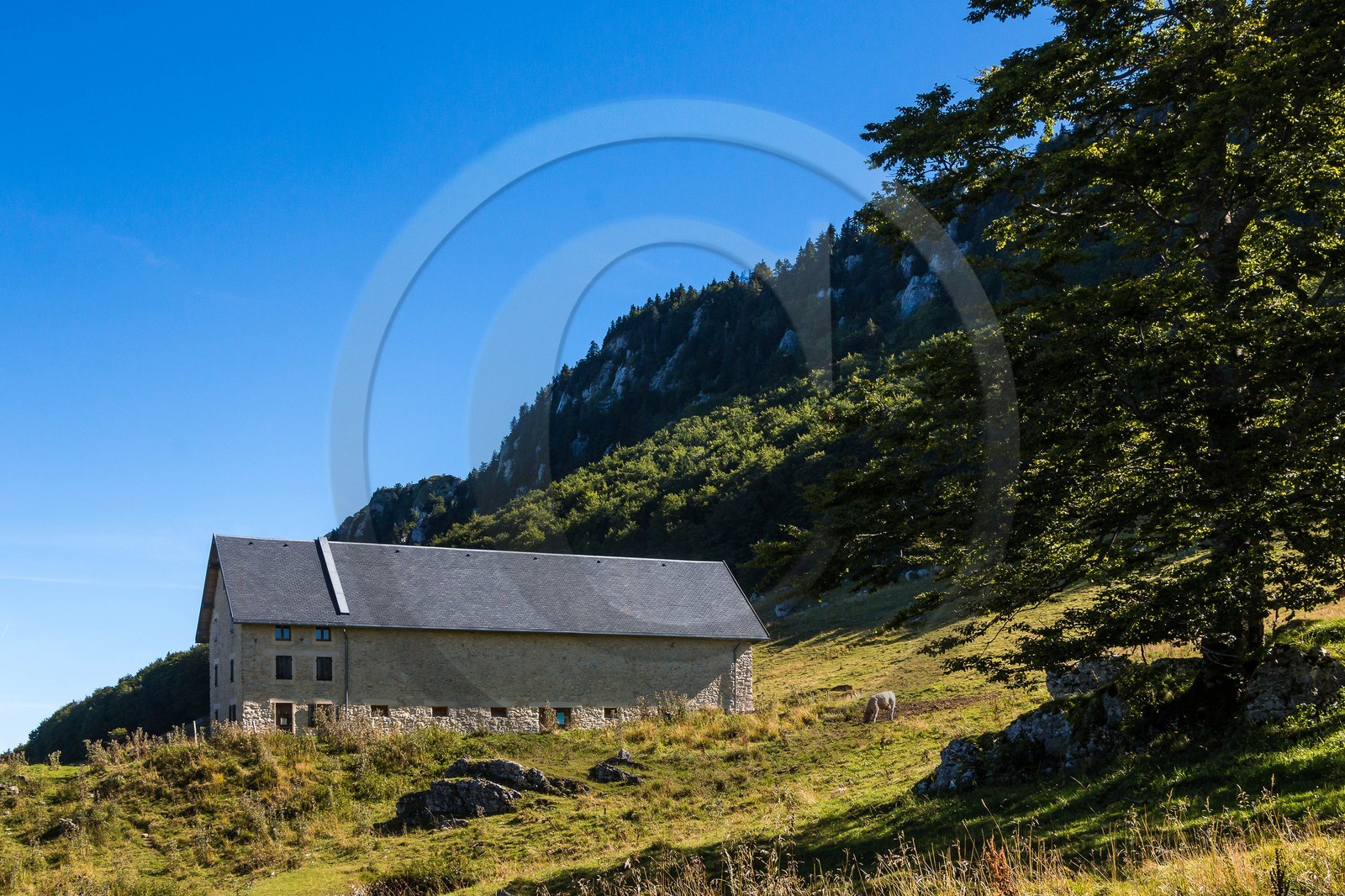 ENS de l'Isère, Les Ecouges, Fessole