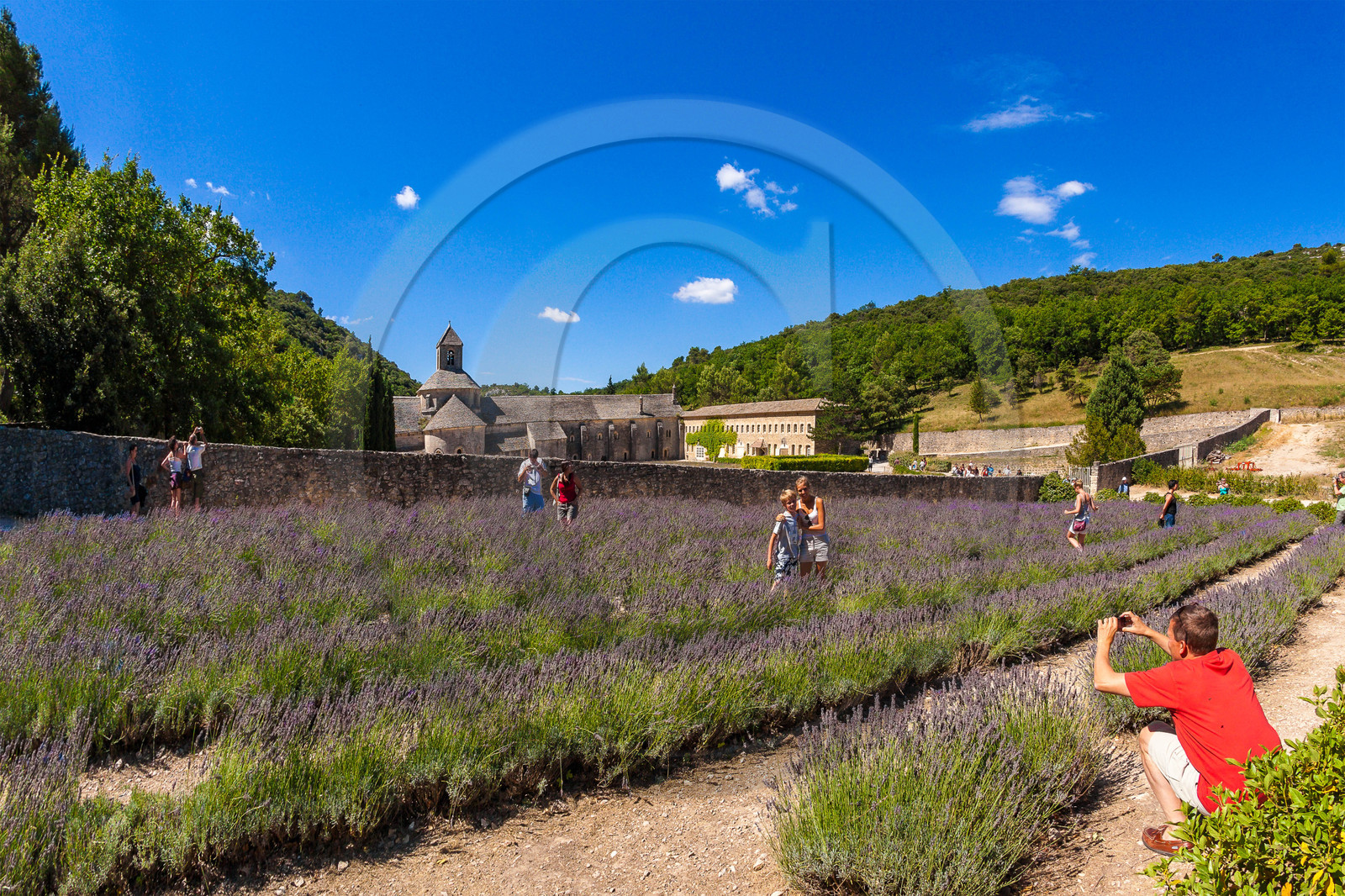 Gordes, Abbaye Notre-Dame de Sénanque