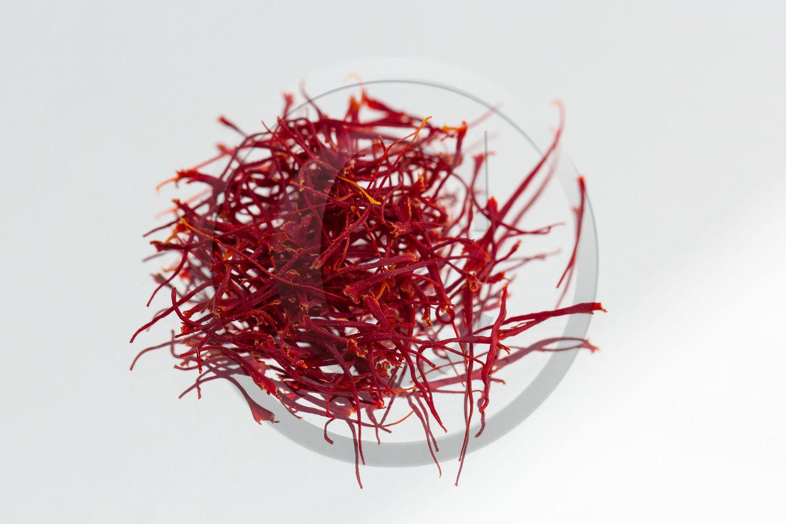 Melissa Bertrand-Pellisson,  safranière